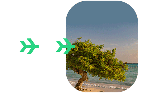 Ed card aruba carte ed-card viaje aruba