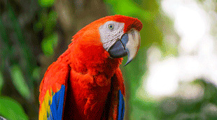 Check-Mig pour la Colombie