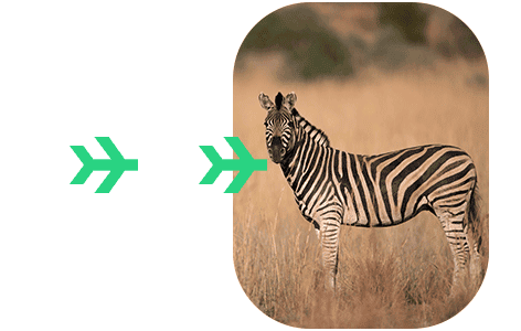 Eta kenya pour français Kenya eTA en ligne