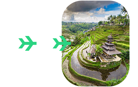 Ecd formularie Declaration en douane pour Indonesie e-CD