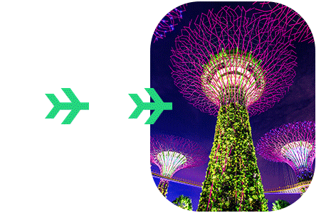 SG Arrival Card pour Singapour