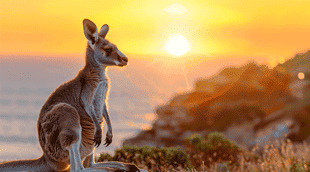 visa eVisitor pour australie